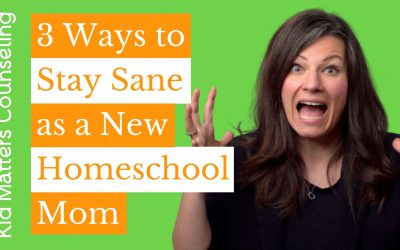 3 Ways to Stay Sane as a New Homeschool Mom